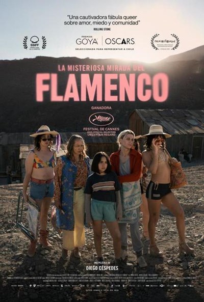 LA MISTERIOSA MIRADA DEL FLAME